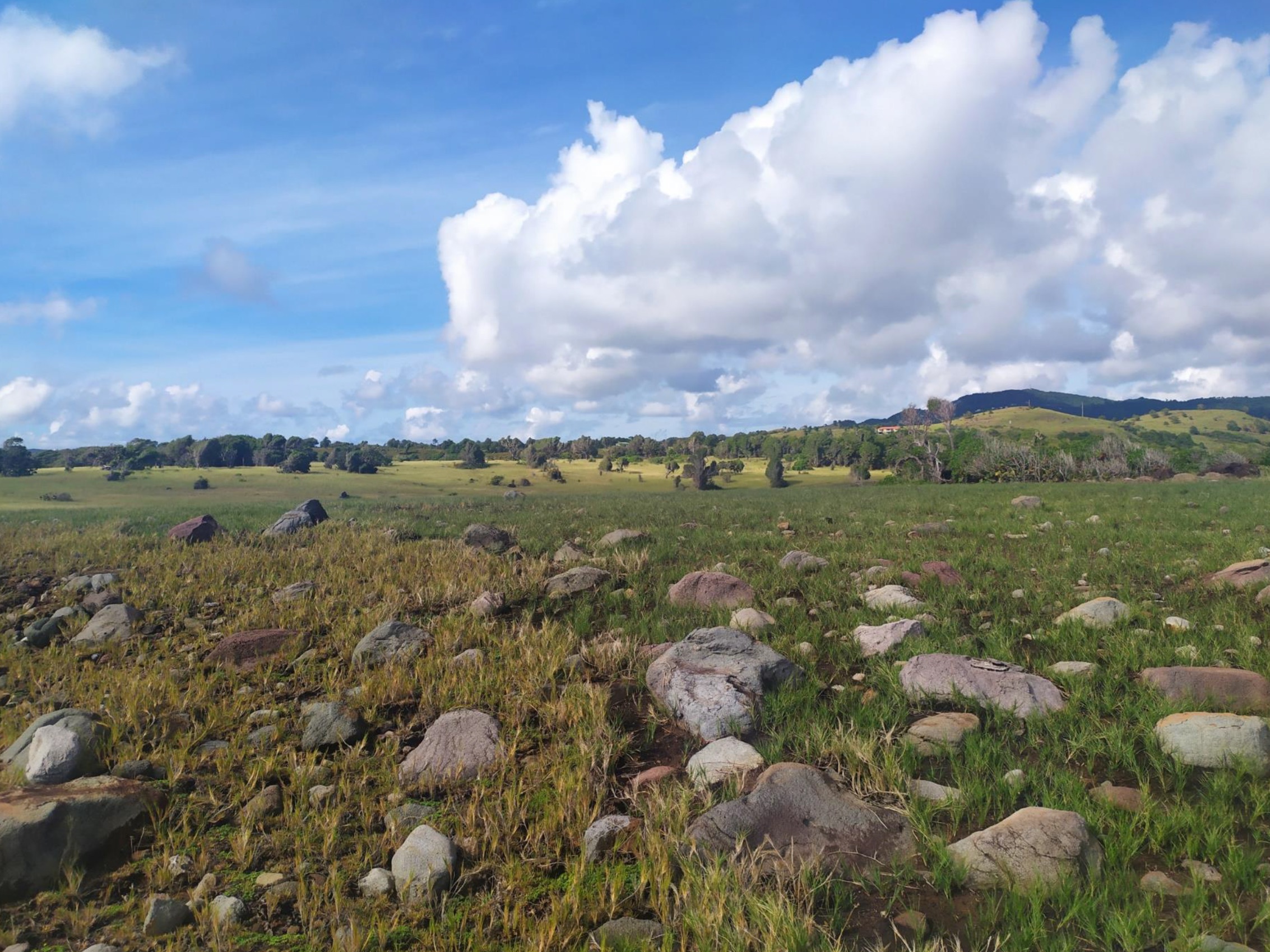 84 acres of land for sale in Micoud - Honeymoon Beach